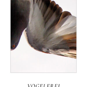 Vogelfrei - Novelle - Christoph R. Reltir
